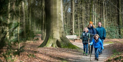 Preventiecongres