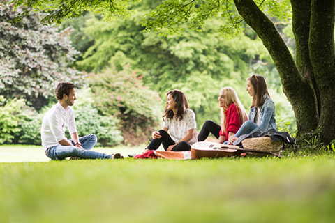 jongeren in park onder boom 