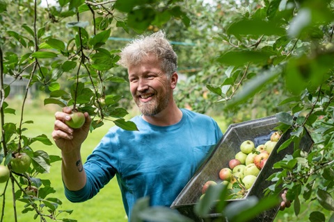 man plukt appels