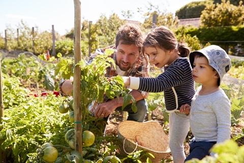 man en twee kinderen in moestuin