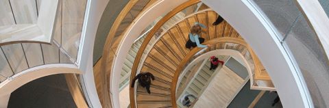 trappenhuis menzis groningen