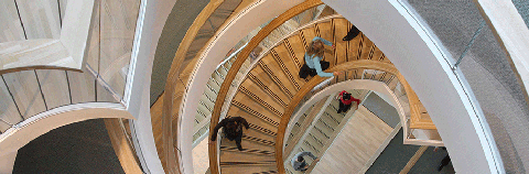 trappenhuis menzis groningen
